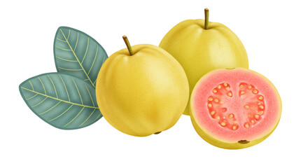 Isolated Guava Fruits