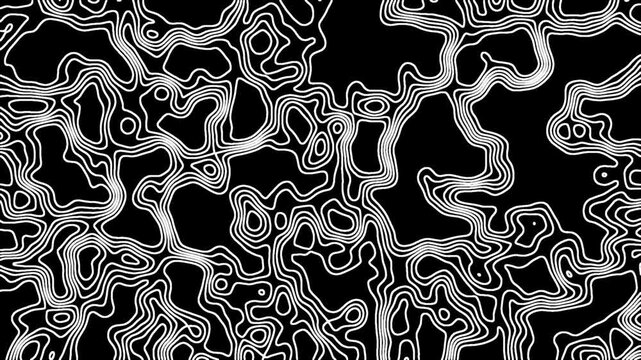 This monochrome illustration blends cartography and neurology. The dense, intertwined lines evoke complexity and cerebral exploration.