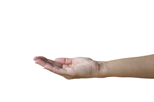 Woman hand, empty, open with palm faced upwards with space for object. Isolated on transparent background.