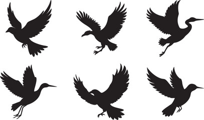 Obraz premium Silhouette Vector Set of Flying Birds in Various Poses