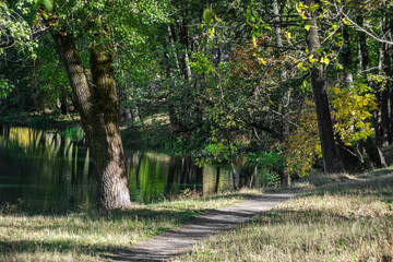 In the city park at the beginning of autumn.