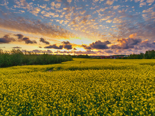 Amazing sunset over the spring fields of Rotmanka, Poland