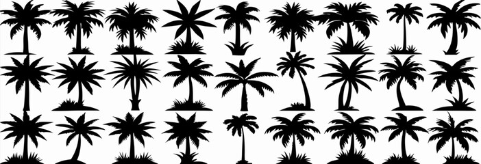 Collection of Black Silhouette Palm Trees