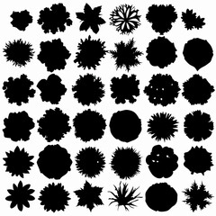 36 Black and White Top-Down Tree Silhouettes, Vector Illustration
