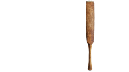 Resting Bat on transparent background PNG.