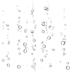 Oxygen air bubbles  flow  in water on white  background.
