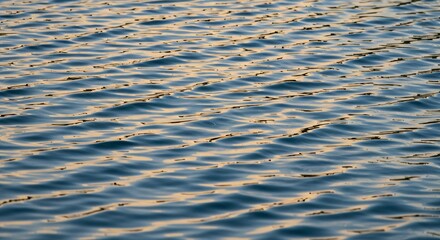 Calm Water Texture &ndash; Natural Surface Ripples on Lake or Sea