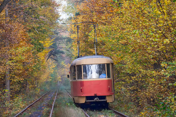 Fototapeta premium Red tram traveling in the tunnel of autumn trees