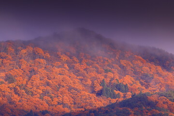 岩手県奥州市　紅葉の焼石岳