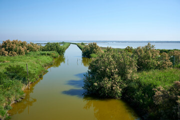 Fototapeta premium valli di comacchio