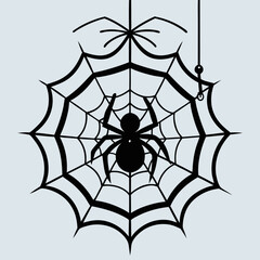 Fototapeta premium spider and web