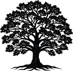 Obraz premium isolated oak tree with sprawling limbs