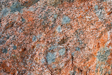 Close-up view of a weathered orange rock showcasing prominent grey speckles in a natural outdoor setting under bright sunlight.