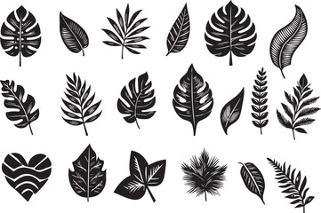 Tree top view, leaf icon set, plant illustration set for architectural design. Tree top view vector collection features diverse tree and leaf sketches for landscape planning, botanical art vector eps