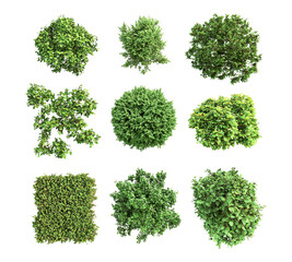 A collection of green trees in various shapes and sizes