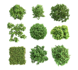 A collection of green trees in various shapes and sizes