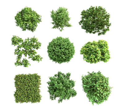 A collection of green trees in various shapes and sizes