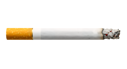 Close-up of a burned cigarette