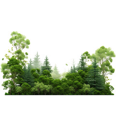 Fototapeta premium A forest scene with a variety of trees