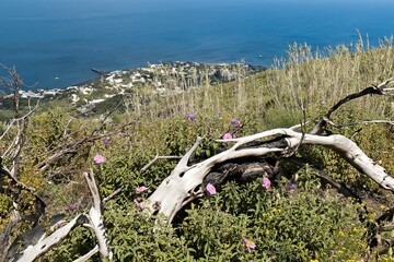 View of Stromboli village and Tyrrhenian Sea on Stromboli island. Aeolian (Lipari) islands. Italy. Europe. 29th April 2025.