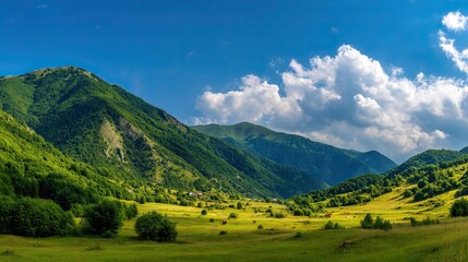 Obraz premium Beautiful summer landscapes, sunny green meadows below the mountains, dense forests and blue skies. High-quality, detailed, high-resolution views.