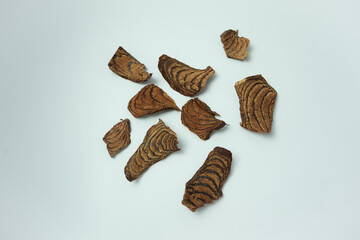 Bajakah wood (Spatholobus littoralis Hassk) is a plant from the interior of Central Kalimantan...