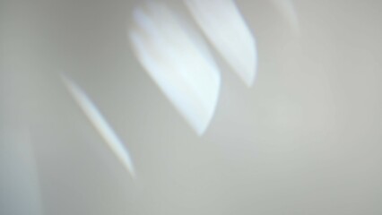 Flare of Abstract Light Glare on a Soft Black Background