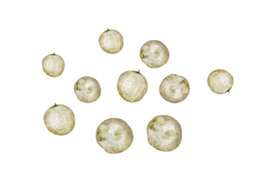 White peppercorns watercolor. Hand drawn dried pepper. Clip art on a white background of hot spices. Ideal for cookbooks, menus and organic product packaging