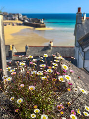 views from around cornwall west england