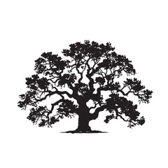 Fototapeta premium Oak Tree with Wide Branches Silhouette