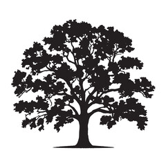 Robin Hood Oak Tree Silhouette