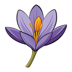 Naklejka premium Safran flower vector white background.