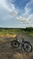 Obraz premium bicycle against the background of a summer green landscape, ranina, meadow. Vertical format, bike tour backdrop for eco-friendly tourism, leisure, and lifestyle. Space for text.
