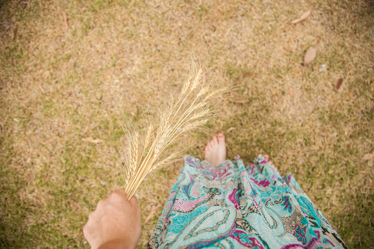 Overhead shot of a woman in a skirt holding dried wheat seed heads