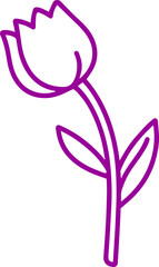 tulip flower vector transparent 