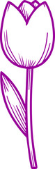 tulip flower vector icon 