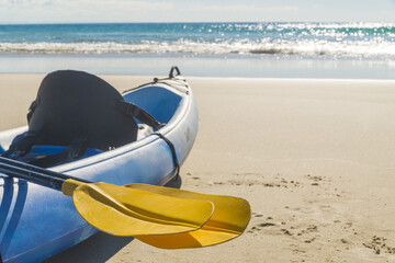 A close up of the from of a sea kayak with yellow paddles