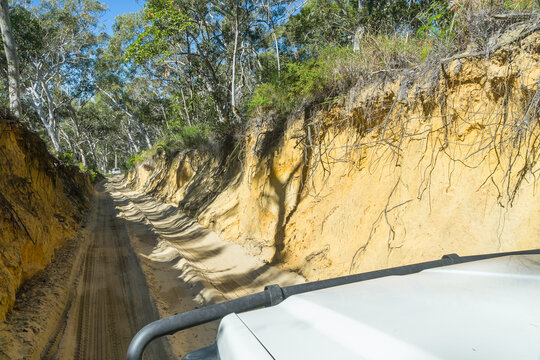 Looking over the bonnet of a 4WD while driving on a sandy track