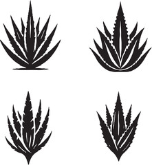 Black Silhouettes of Agave Plants with Unique Leaf Arrangements