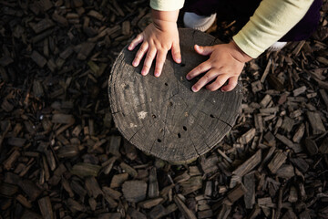 Child's hands placed on wooden stump outdoors on a sunny day