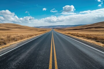 Obraz premium a straight paved road across the steppe