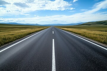 Fototapeta premium a straight paved road across the steppe