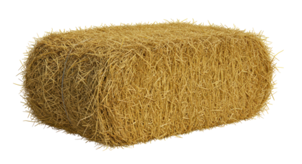 Isolated Hay Bale