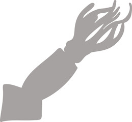 오징어,해양,그림자,유기적,추상,바다,생물,생선,음식, 요리, 스퀴드,