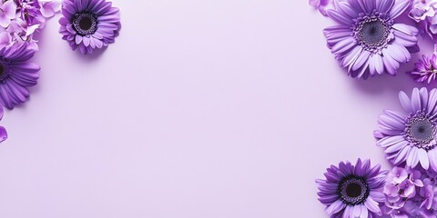 Minimalistic floral frame with vibrant purple gerbera daisies and petals on soft pastel background. Perfect for greeting cards, wedding invites, spring promotions, or text overlay. Copy space