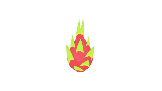 dragon fruit on white background. tropical fruit. fruit theme. cute fruit. agriculture. simple animation. motion graphics