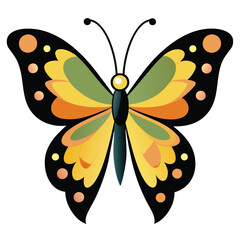 a beautiful butterfly 