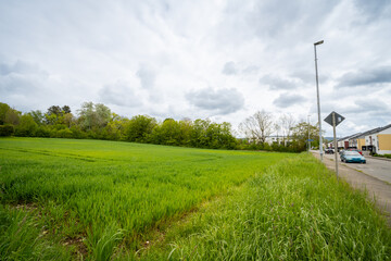 Lush green field contrasts with a suburban street under a cloudy sky, blending nature with everyday...