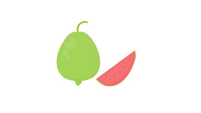 guava on white background. tropical fruit. healthy food. agriculture. simple animation. motion graphics 