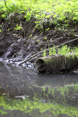 Old Metal Pipe End Covered With Moss And Sprouting Grass Partially Submerged In Calm Stream Reflecting Green Bank. Nature Reclaiming.